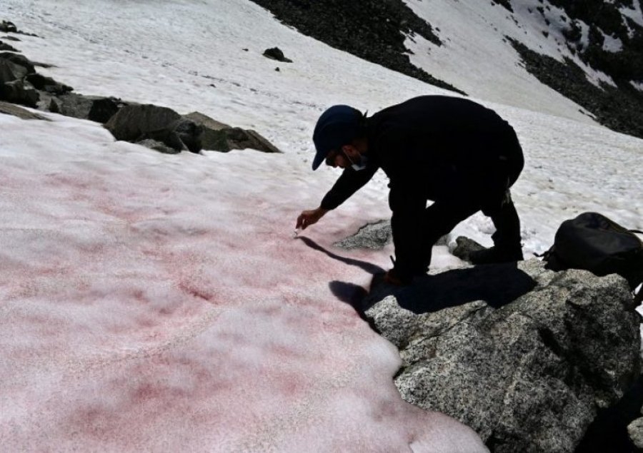 ‘Gjaku i akullnajave’/ Fenomeni i pashpjeguar që ndodh në majat e maleve 