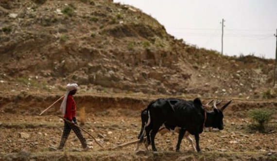 OKB flet për “pandeminë e ardhshme që nuk do të ketë vaksinë”