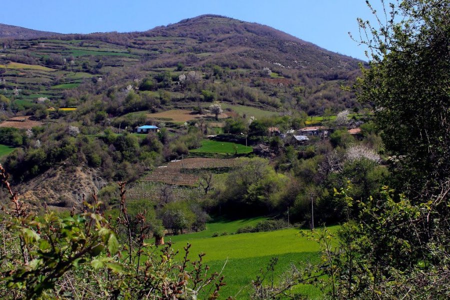  Ky është fshati shqiptar ku askush nuk shkon nuse, meshkujt 50-vjeç dhe beqarë 