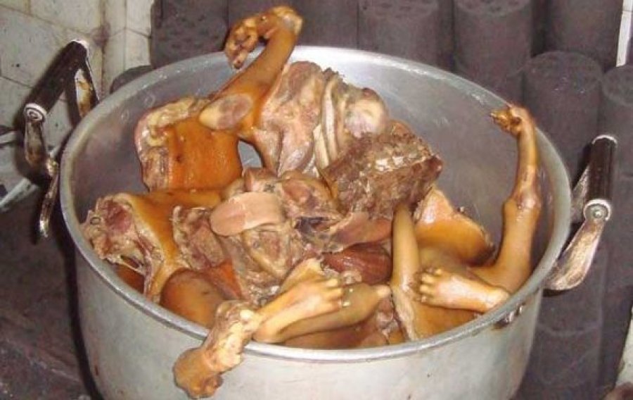 Në Kinë fillon festivali i mishit të qenit