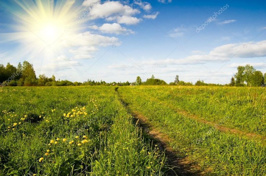  Bien pak temperaturat, parashikimi i motit për të dielën 