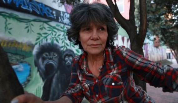  Historia e gruas që u rrit nga majmunët e xhunglës, nuk e njohu familjen kurrë 