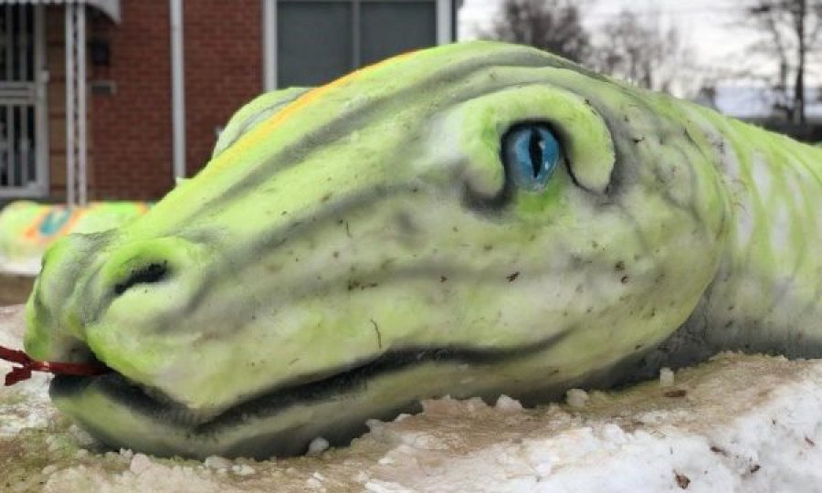Art në dëborë, krijohet gjarpri 23 metra i gjatë