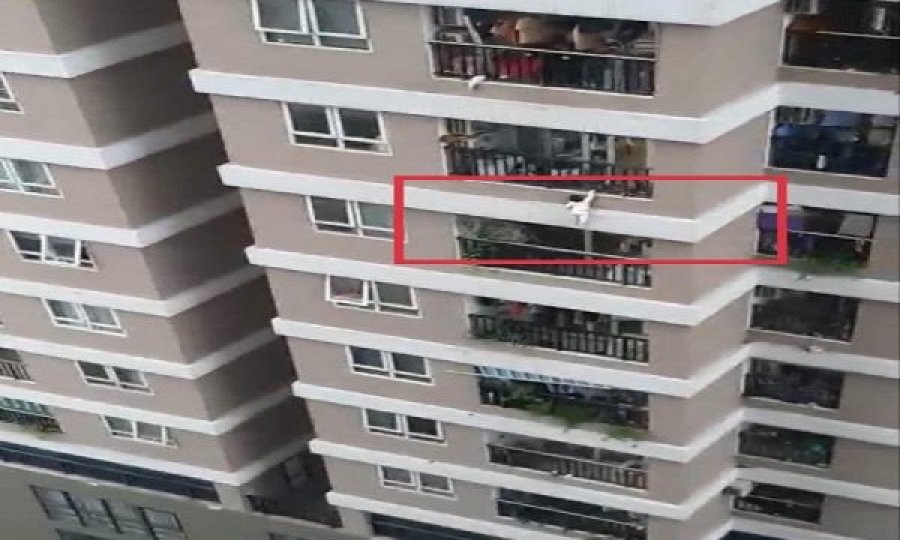 Shoferi shpëton foshnjën e rënë nga ballkoni i katit të 12