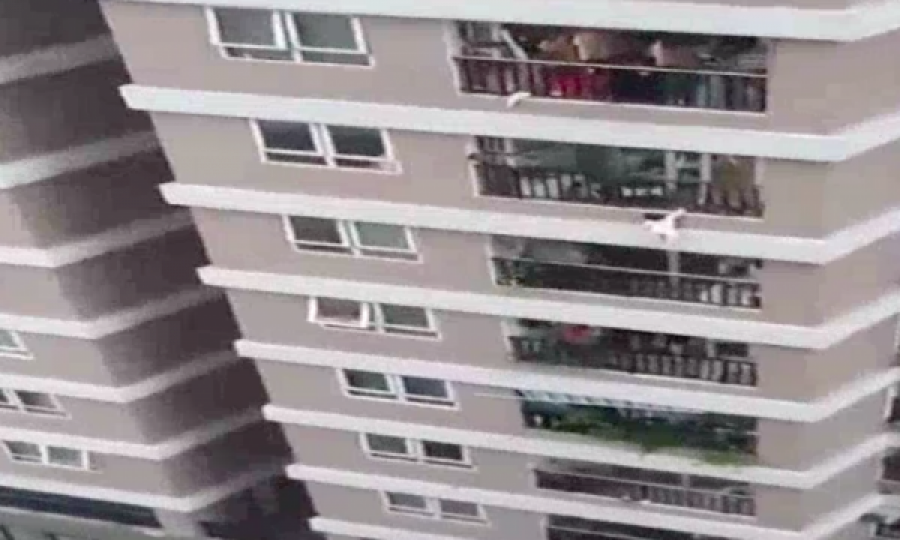 Dyvjeçarja ishte duke rënë nga një ndërtesë 12-katëshe, shpëtohet nga një postier