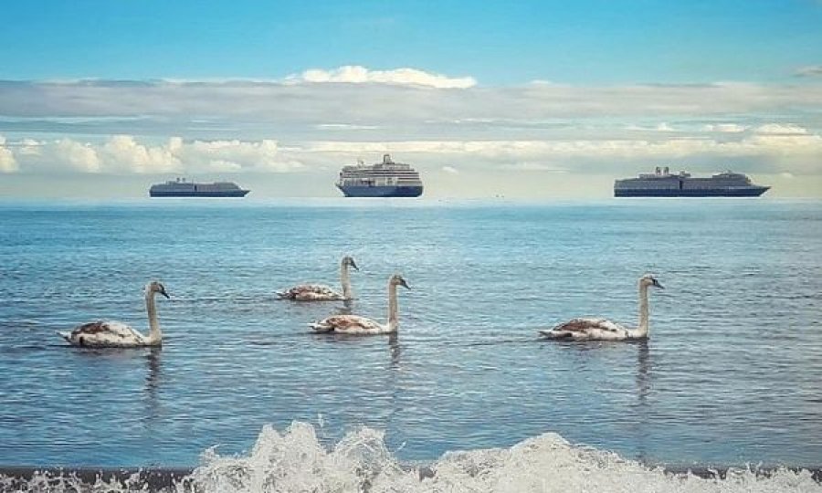  Del foto e re e “anijeve fluturuese”, ja shpjegimi shkencor për këtë dukuri 