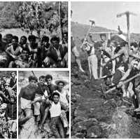 “Si i hapëm rrugët e Parkut të Lurës në 1965 dhe…”/ Kujtimet e ish-studentëve: ‘Forca çuna! Mbushni barkun’. Çfarë na thoshte usta Emini