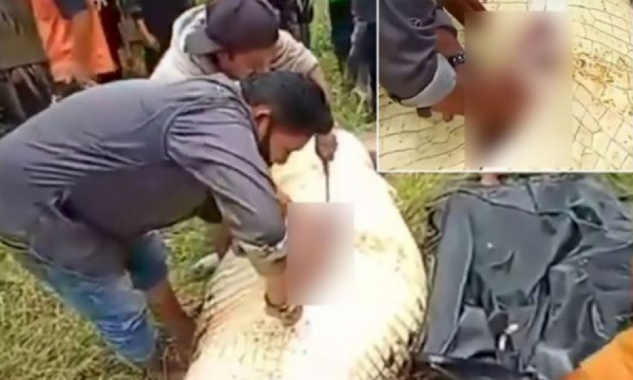 Krokodili gëlltiti 8 vjeçarin, banorët ia nxjerrin nga barku