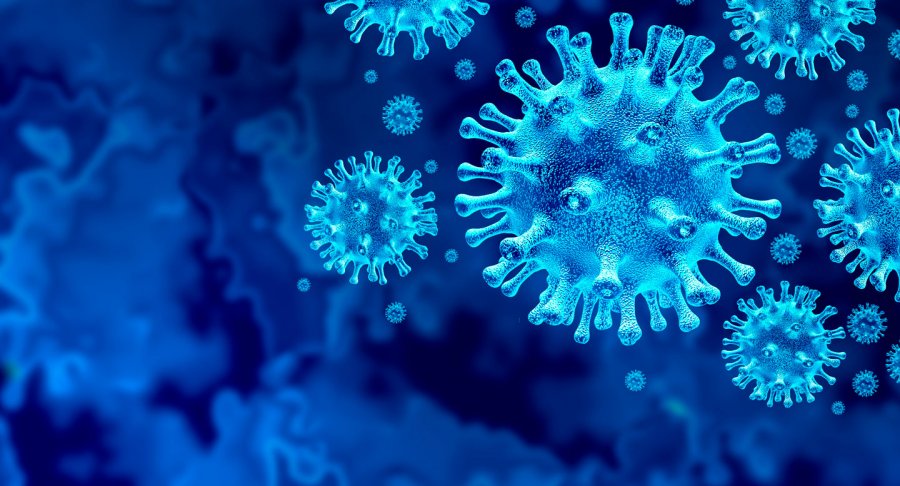  Në këtë vend zbulohen 31 lloje të ndryshme të koronavirusit