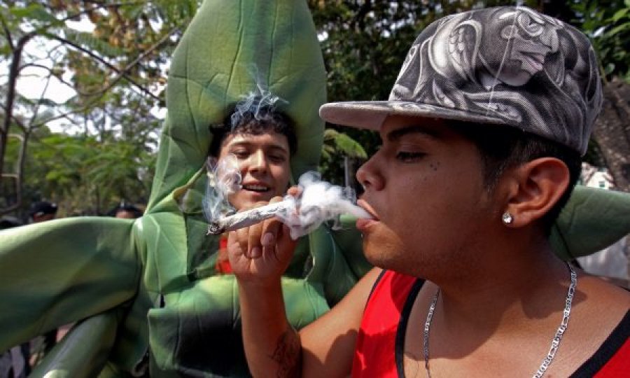  “Nëna e kanabisit”, Meksika, bën një hap më afër legalizimit të kësaj droge 