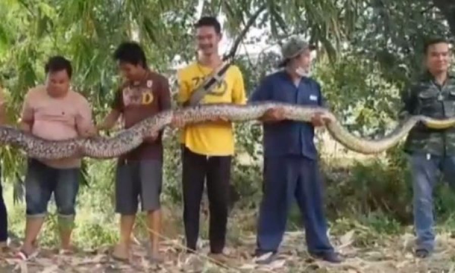  Bujku tronditet kur sheh se çfarë po sillej përreth shtëpisë së tij 