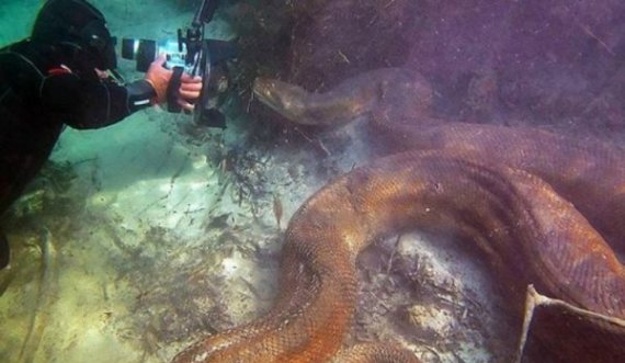 Në lumenjtë e Brazilit fotografohet anakonda gjigante