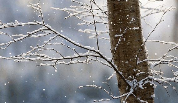 Mot i vranët dhe me reshje bore, këto janë temperaturat