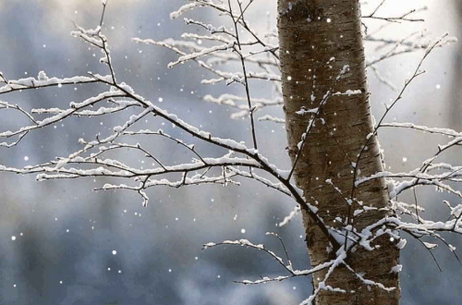 Mot i vranët dhe me reshje bore, këto janë temperaturat