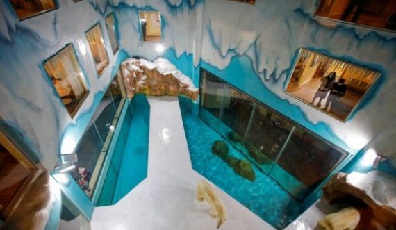  Të flesh me arinjtë polarë, hapet në Kinë hoteli i veçantë 