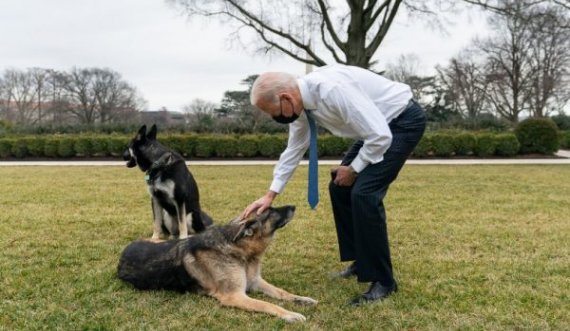 Major, qeni i Presidentit Biden kthehet në Shtëpinë e Bardhë