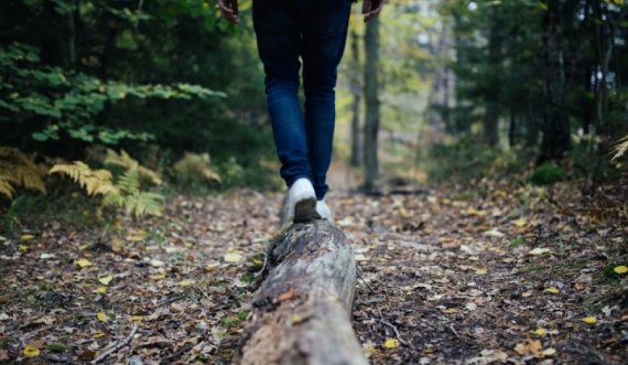 Një person zbulon një thesar të vjetër gjatë një shëtitjeje në pyll 
