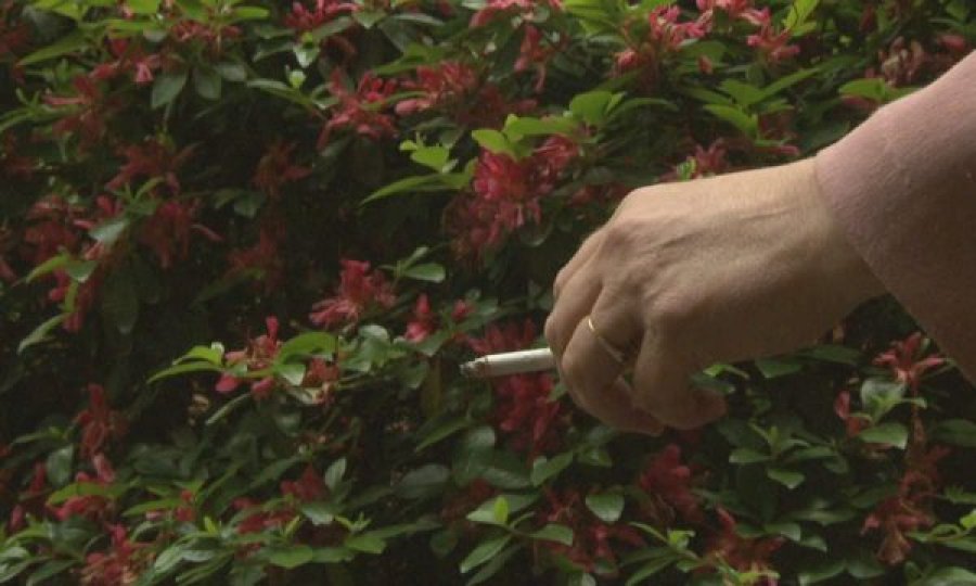  “Përpjekje për të shpëtuar jetë”, SHBA-ja pritet të ndalojë shitjen e cigareve me mente 