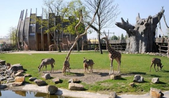  Zbulohet kafsha më e rrezikshme në një kopsht zoologjik 
