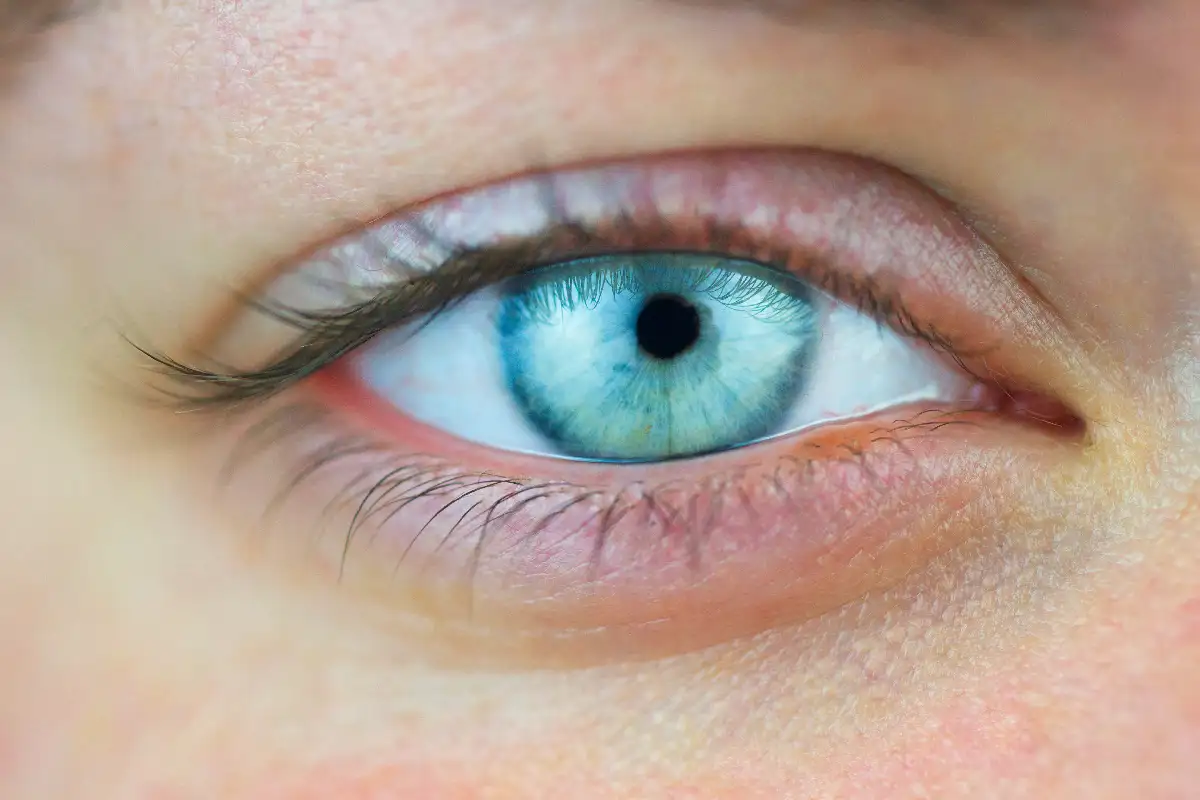 Sytë tregojnë nëse rrezikoheni nga sulmi në zemër dhe në tru