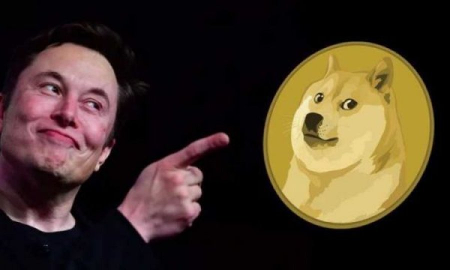 Musk thotë se Dogecoin mund të jetë valutë botërore në të ardhmen