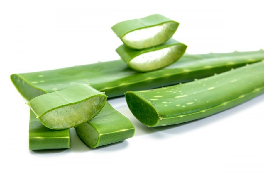 Aloe Vera, një ilaç për shumë probleme shëndetësore