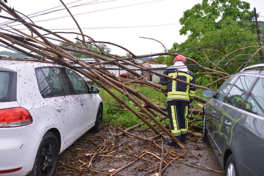 Kamenicë: Nga rreshjet e shiut degët e pemëve bien mbi vetura 