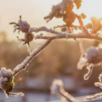 Ja si pritet të jetë moti të premten dhe dy ditët në vijim