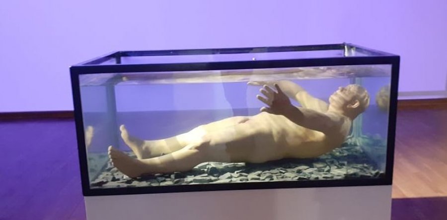 Vështrim për skulpturat e artistit Zharko Basheski