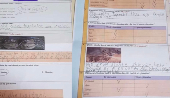 Skandal: Testi i nxënësit plot me gabime vlerësohet me notën 5 në një shkollë në Prizren