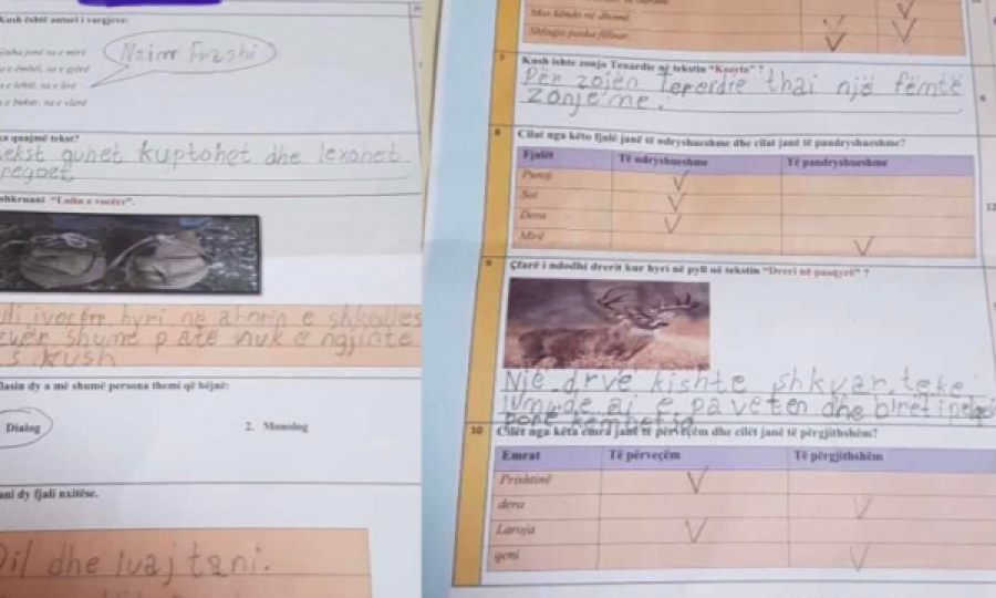 Skandal: Testi i nxënësit plot me gabime vlerësohet me notën 5 në një shkollë në Prizren