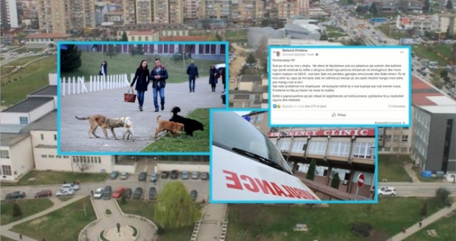 Kafshohet një vajzë nga qentë endacakë në Prishtinë, shpëtohet nga disa persona