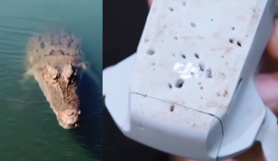  Krokodili kafshon dronin në ajër, kameramani thotë se s’di si t’i tregojë shefit 
