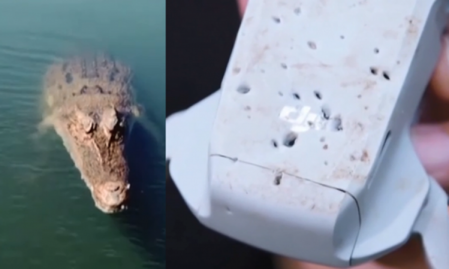  Krokodili kafshon dronin në ajër, kameramani thotë se s’di si t’i tregojë shefit 