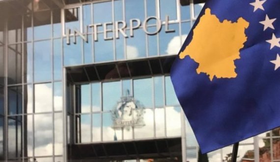  Policia gati të jetë pjesë e INTERPOL-it – anëtarësimi mundëson luftimin e krimit ndërkombëtar 