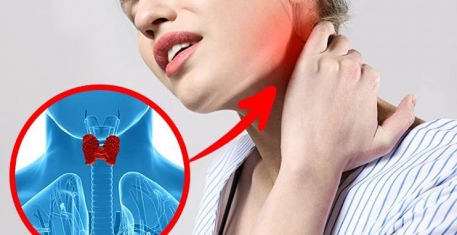 Pesë organe në shëndetin e të cilave ndikon gjëndra tiroide 