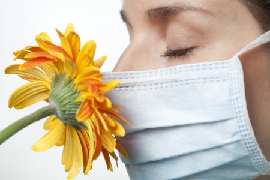 Me fshehtësi të thjeshtë hiqni problemet me alergjinë në polen