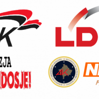 Çfarë është një parti politike në Kosovë?