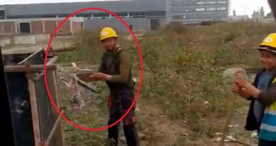 Ndodh edhe kjo në Serbi: Dy punëtorë ndërtimi kinezë rrjepin macen, e përgatisnin për drekë/VIDEO