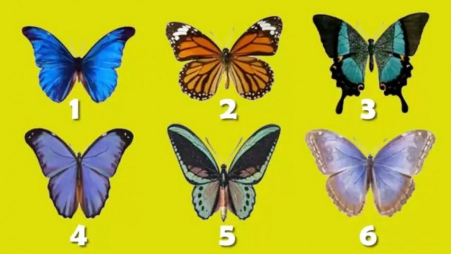 Testi i fluturave / Zgjidh atë që të pëlqen më shumë dhe zbulo veten