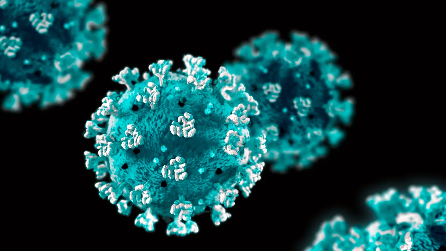 Mbi pesë milionë viktima me koronavirus në botë