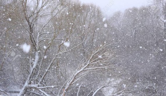 Mot i ftohtë me shi e borë, parashikimi i motit për ditët e ardhshme
