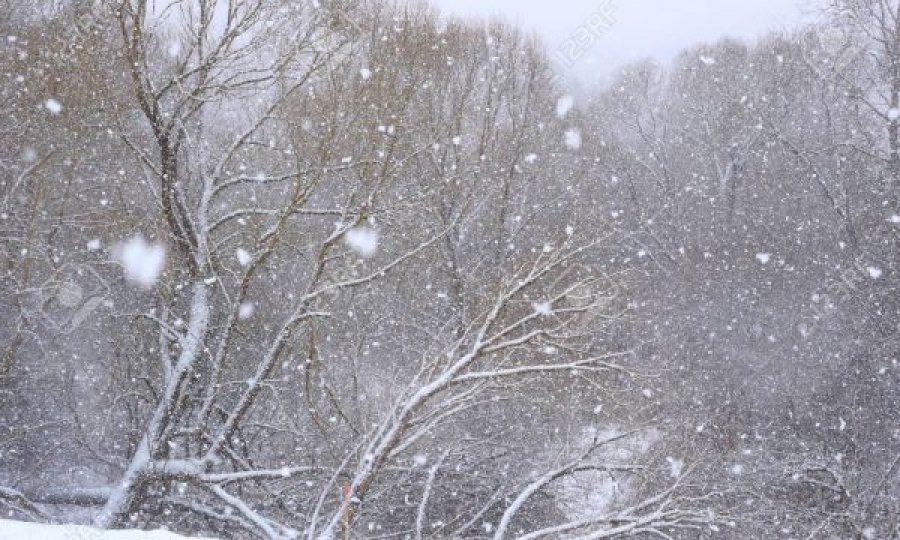 Mot i ftohtë me shi e borë, parashikimi i motit për ditët e ardhshme