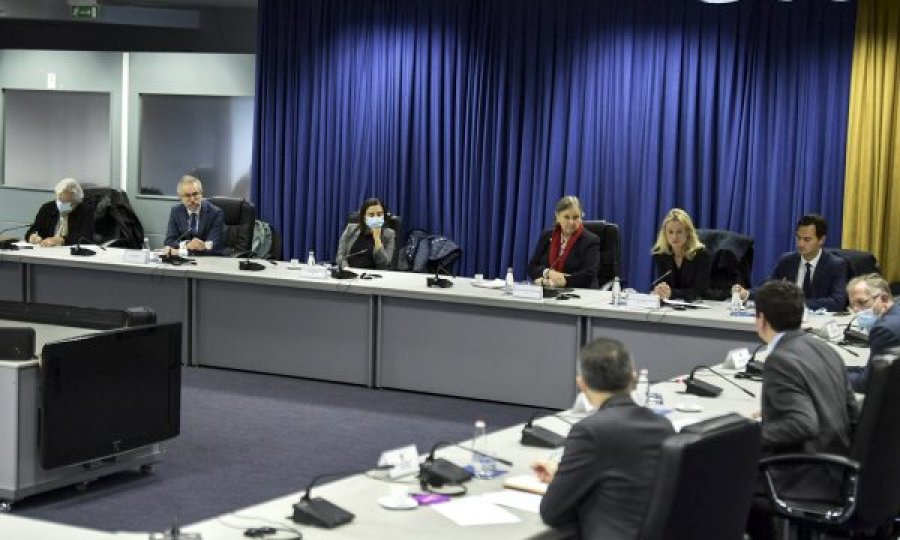 Kurti pret në takim eurodeputetët të udhëhequr nga Viola Von Cramon