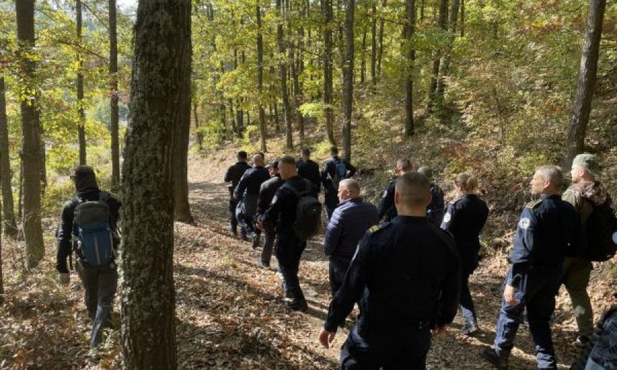 Vazhdon kërkimi për 88-vjeçarin e zhdukur nga Novobërda