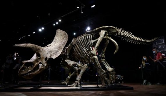 Shitet me çmim marramendës në Paris skeleti i një dinozauri