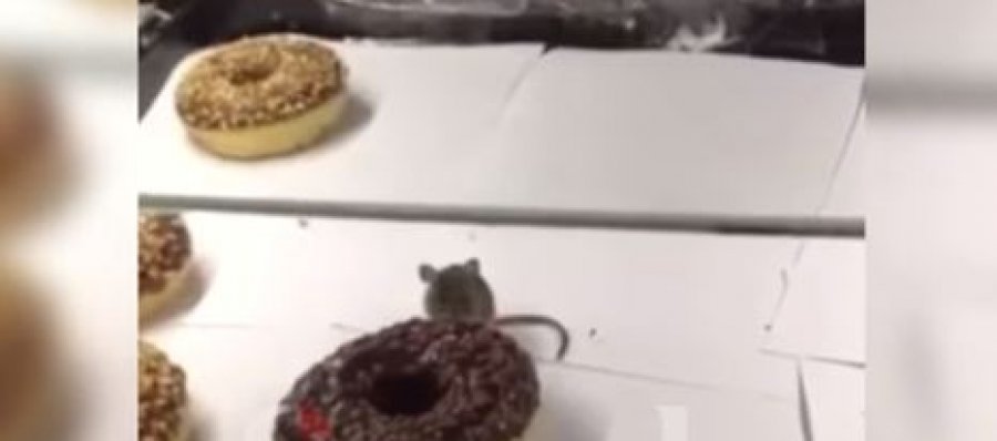 Miu futet në Viva Fresh Store në Prishtinë (Video)