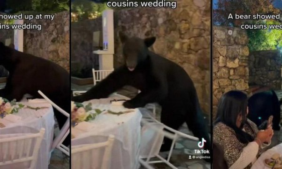 Mysafiri i paftuar shkon në dasmë dhe i “rrëzon” të gjitha, shikoni videon