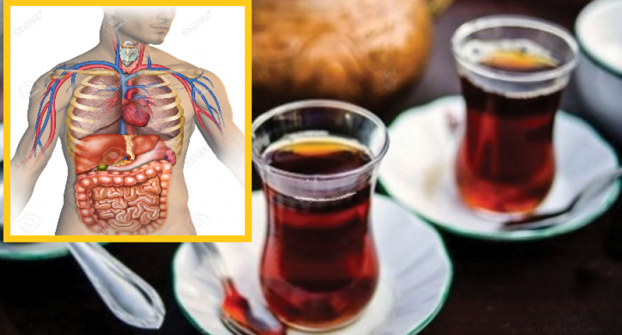 6 lloje të çajit, që shërojnë sëmundje të caktuara