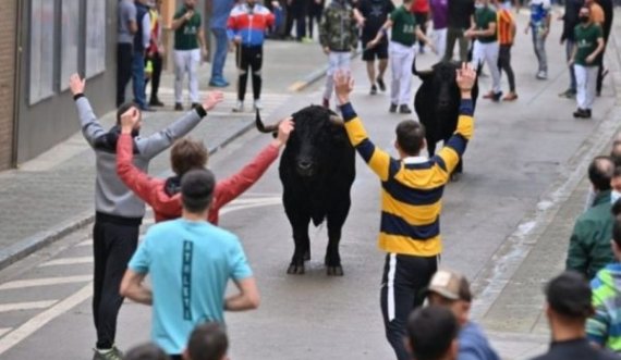 Nis me viktima rihapja e festivalit të demave në Spanjë
